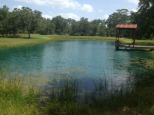 The fishing pier